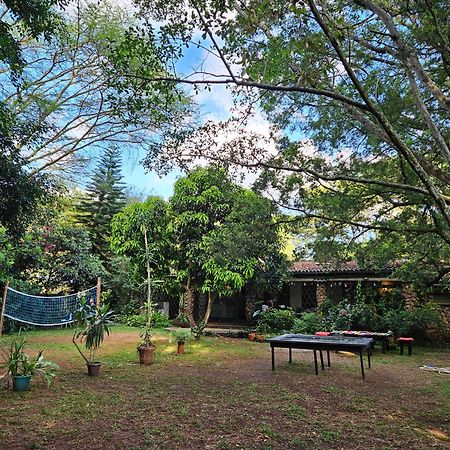 Mad Vervet Nairobi Backpackers Hostel Eksteriør billede