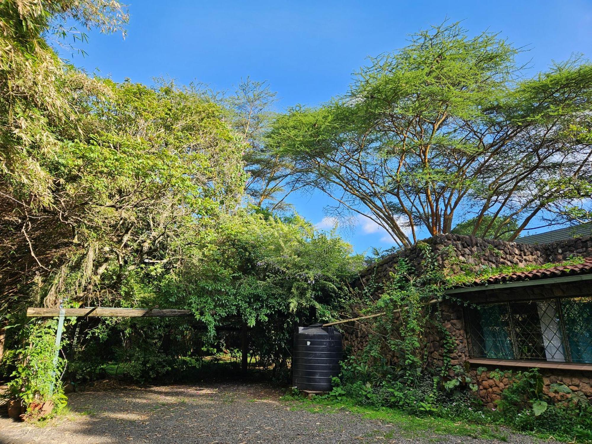 Mad Vervet Nairobi Backpackers Hostel Eksteriør billede